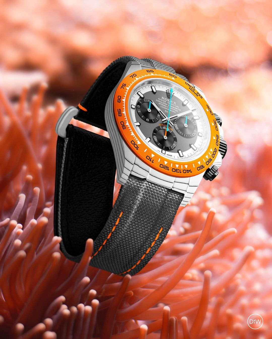 CarboQuartz Rolex Daytona DiW OCELLARIS 石英纤维劳力士 DiW迪通拿 | WORLDTIMER