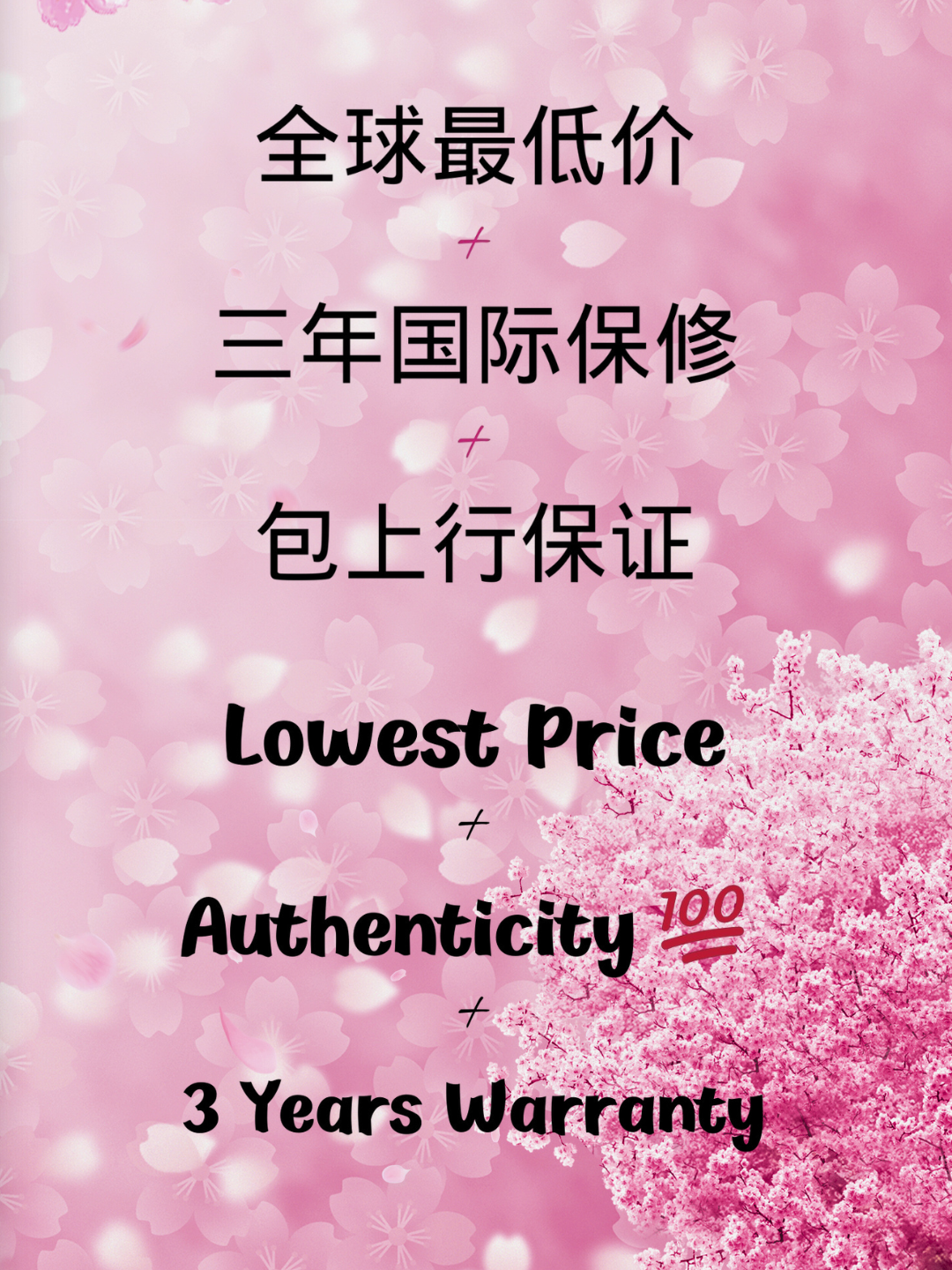 AET REMOULD Rolex Daytona Diamond Ladies Watch "SHUN SAKURA" 劳力士迪通拿 钻石女表 | WORLDTIMER