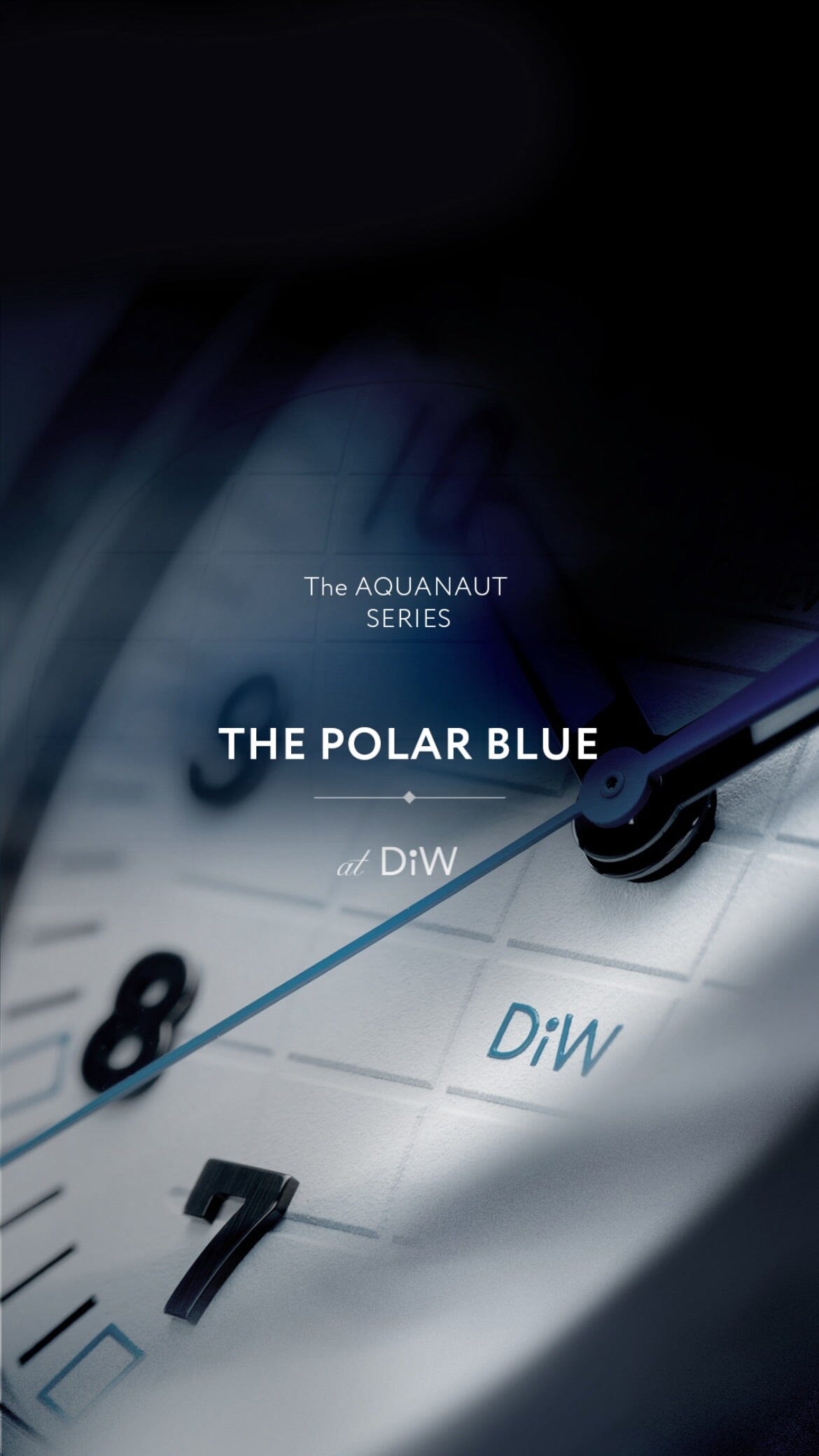 DiW Patek Philippe Aquanaut CarboQuartz【POLAR BLUE】DiW 石英纤维 百达翡丽手雷 | WORLDTIMER