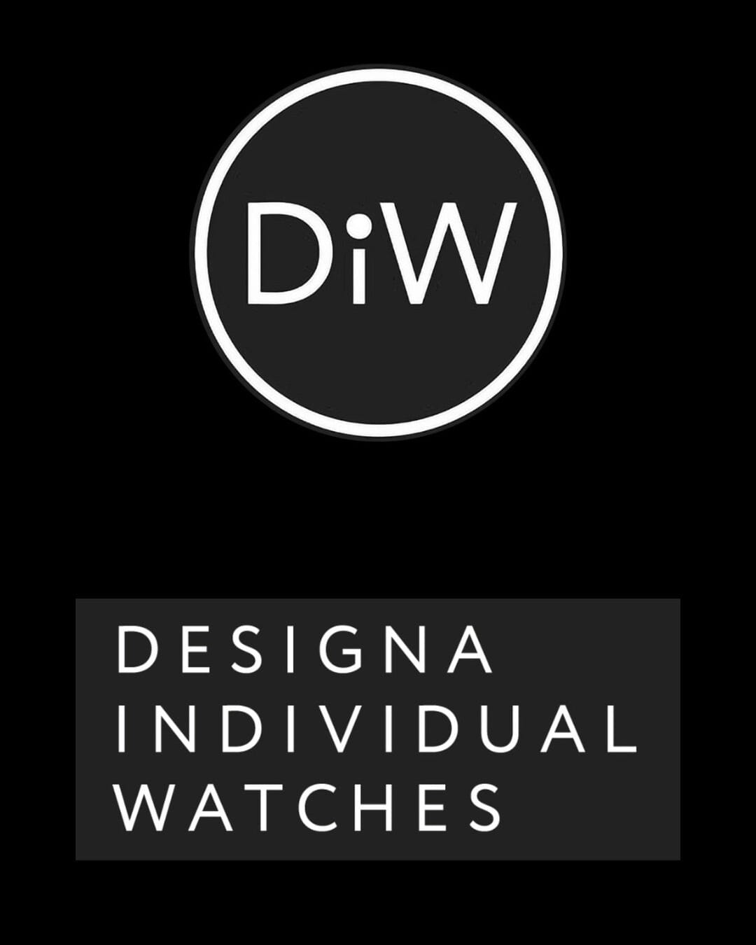DiW Rolex Daytona PAUL NEWMAN BLACK SC 碳纤维劳力士 DiW迪通拿 | 
WORLDTIMER