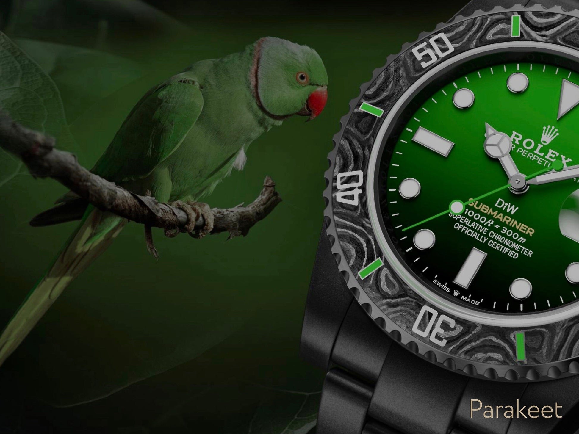 Rolex DiW Submariner PARAKEET 劳力士DiW 绿水鬼 | WORLDTIMER